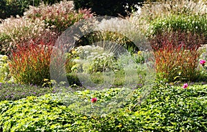 Garden beds with perennials and ornamental grasses