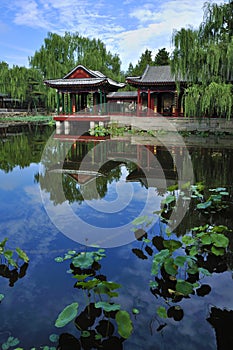 Garden in Beijing Summer palace