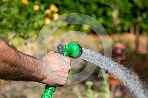 A garden being watered with a hosepipe