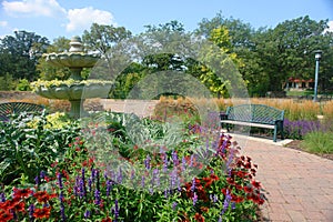 Garden with bench