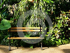 Garden Bench photo