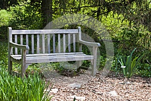 Garden Bench