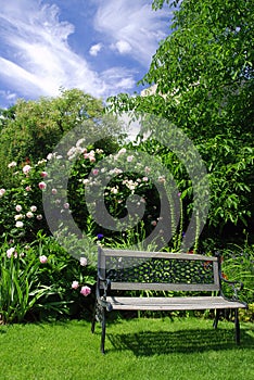 Garden and bench