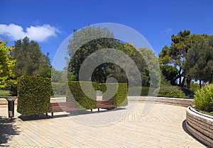 Garden bench between boxwoods