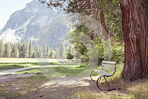 Garden bench on the hiking trail in the camping in the Yosemite National natural Park