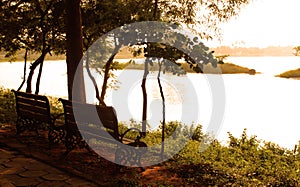 Garden benches on the rural lake shore photo