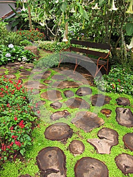 Garden in Bhubing Palace