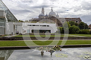 The Garden of biodiversity at the Botanical Garden in Padua on a summer day