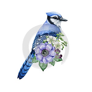Garden bird with blooming flower decor. Watercolor illustration. Hand painted blue jay bird with garden tender flowers