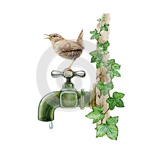 Garden bird came for a drink on a vintage style metal water tap. Watercolor illustration. Hand painted thirsty wren on a