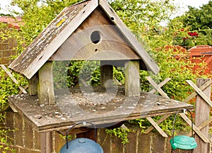 Garden bird table