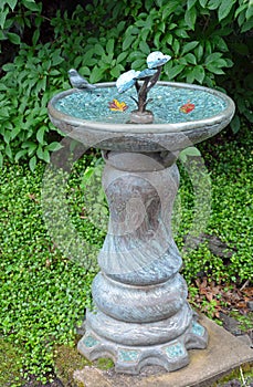 Garden birdbath