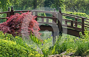 Garden in bloom with arched bridge