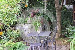 Garden with blooming flowers, plants and trees. Chairs and table in the park or cafe