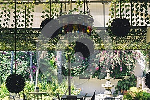Garden with blooming flowers, plants and trees. Chairs and table in the park or cafe