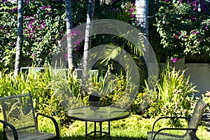 Garden with blooming flowers, plants and trees. Chairs and table in the park or cafe