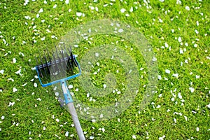 Garden blue rake on a green lawn in the garden, concept photography for blog or advertising, eco-friendly lifestyle