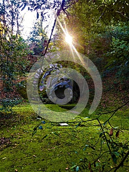 Garden of Bomarzo, Sacred Grove, Park of the Monsters, Proteus and light photo