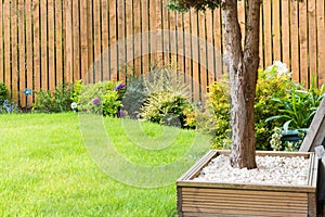 Garden Border with fencing shrubs grass and general garden decoration photo