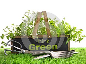 Garden box with assortment of herbs and tools