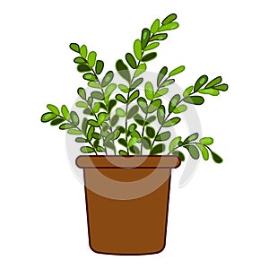 Garden branch plant pot icon cartoon vector. Window garden