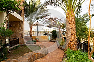 A garden with a brick footpath