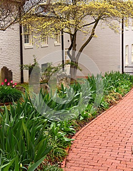 Garden and Brick Pathway in Spring
