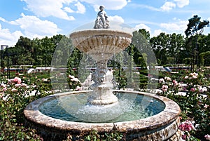 Garden in Buen Retiro Park of Madrid