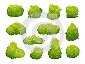 Garden bush. Green garden vegetation bushes. Cartoon shrubs for decorate landscape vector set