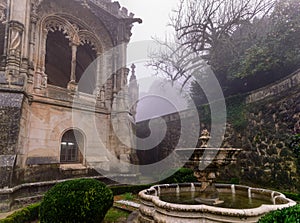 The garden at the Bussaco Palace, Portugal photo