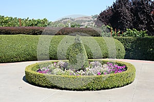 Garden in California photo