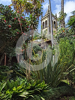 Garden of the Canarian institute on Tenetife island