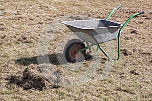 Garden cart with old grass on lawn after scarify