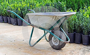 Garden cart for transporting plants, soil and fertilizers