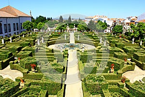 Garden, Castelo Branco, Portugal photo