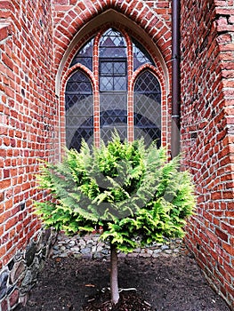 Garden Cathedral in Pelplin.