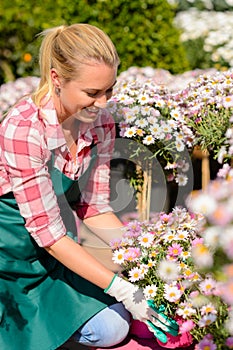 Garden center woman looking down potted flowers