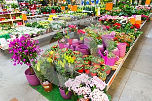 Garden centre