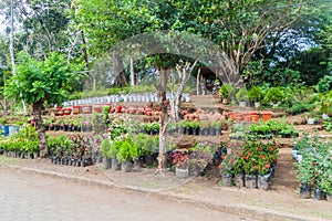 Garden centre in Catarina village near Laguna de Apoyo lake, Nicarag photo