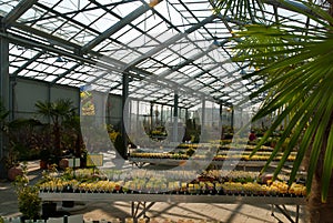 Garden centre with a glass roof under a blue sky