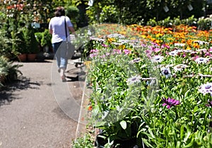 Garden Centre Shopping