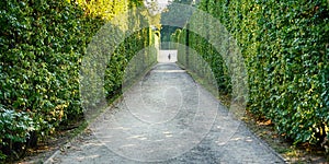 garden in the cesky krumov castle