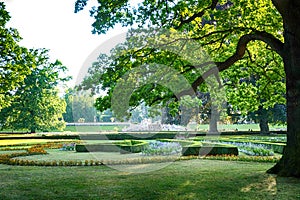 Jardín en checo castillo 