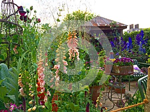 A garden at the Chelsea Flower Show