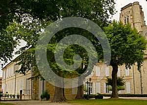 The garden of chestnut trees and the former bishopric of the city of Lectoure photo