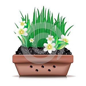 Garden clay pot and fresh grass with flowers