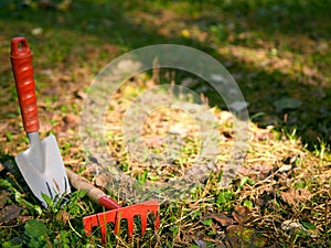 Garden cleaning, small shovel, rake,