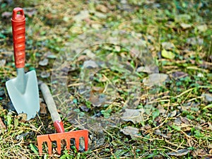 Garden cleaning, small shovel, rake,