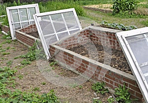 Garden coldframe