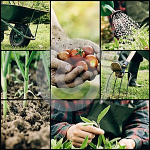 Garden collage